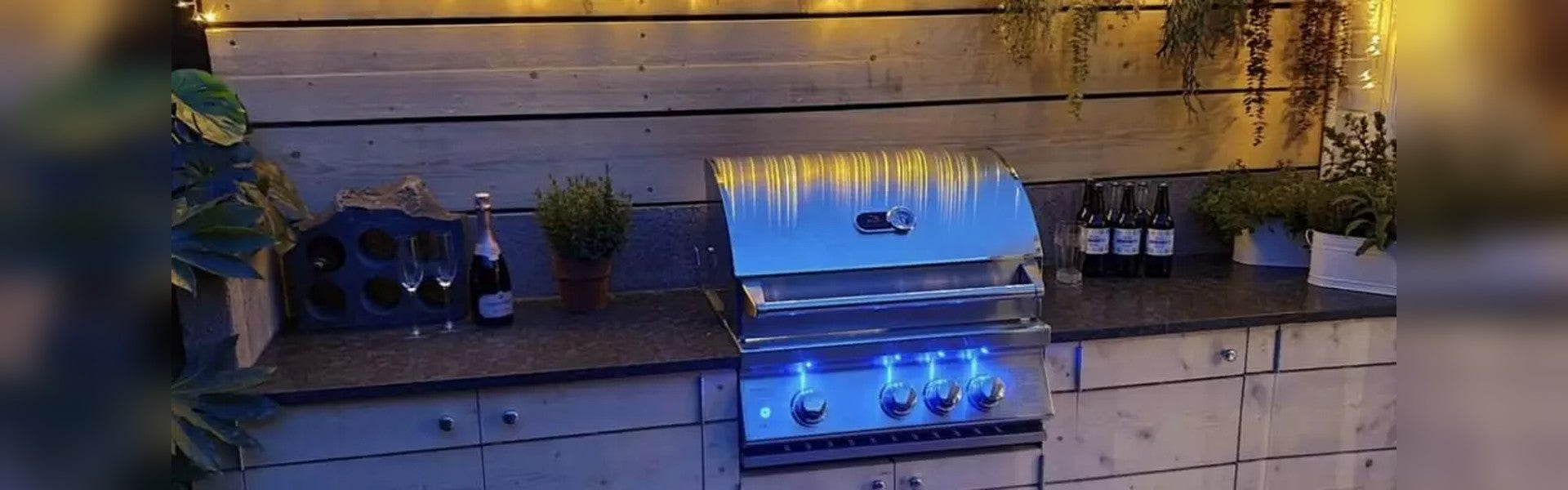 Whistler Grills