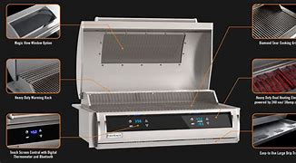 30 Inch Built in Electric Grill with Window and Dual Control