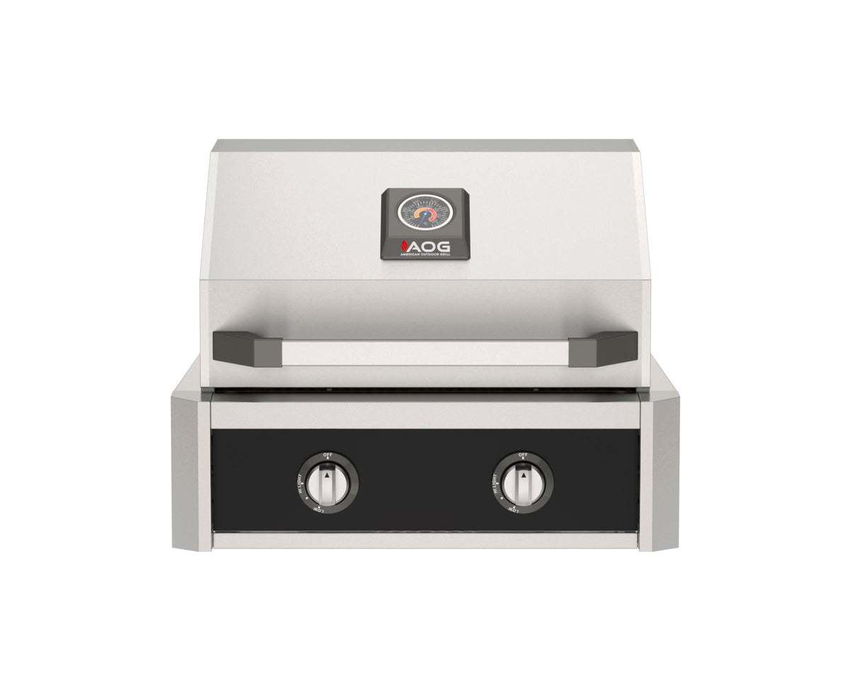 AOG 24-Inch Color Panel T-Series Built-in Grills
