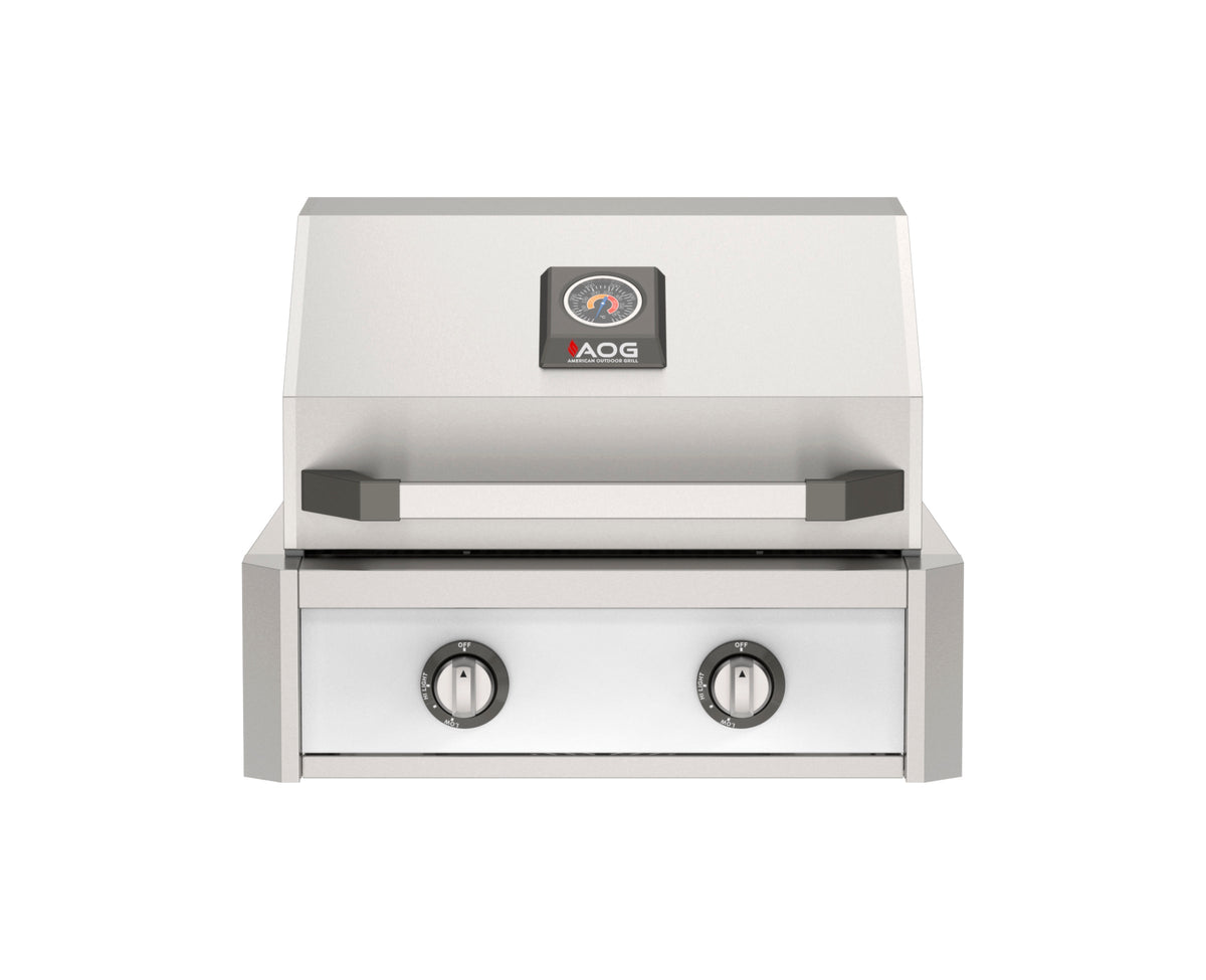 AOG 24-Inch Color Panel T-Series Built-in Grills